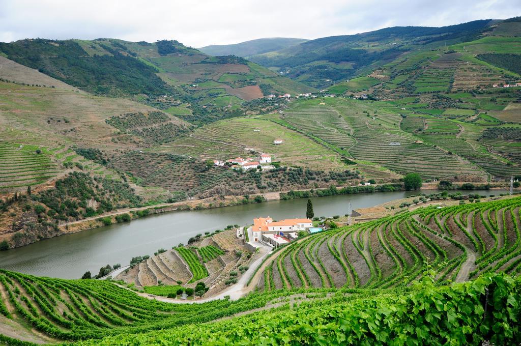 Hotel Rural Quinta Do Pego Tabuaço Zewnętrze zdjęcie