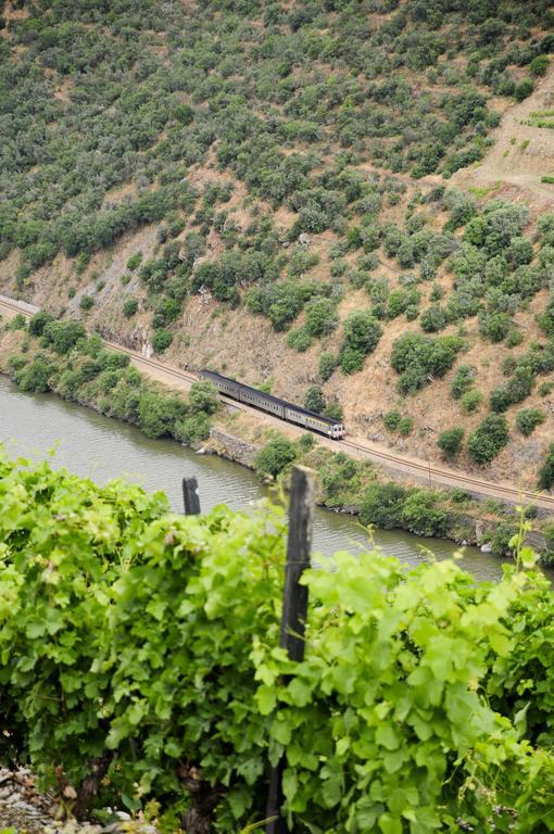Hotel Rural Quinta Do Pego Tabuaço Zewnętrze zdjęcie