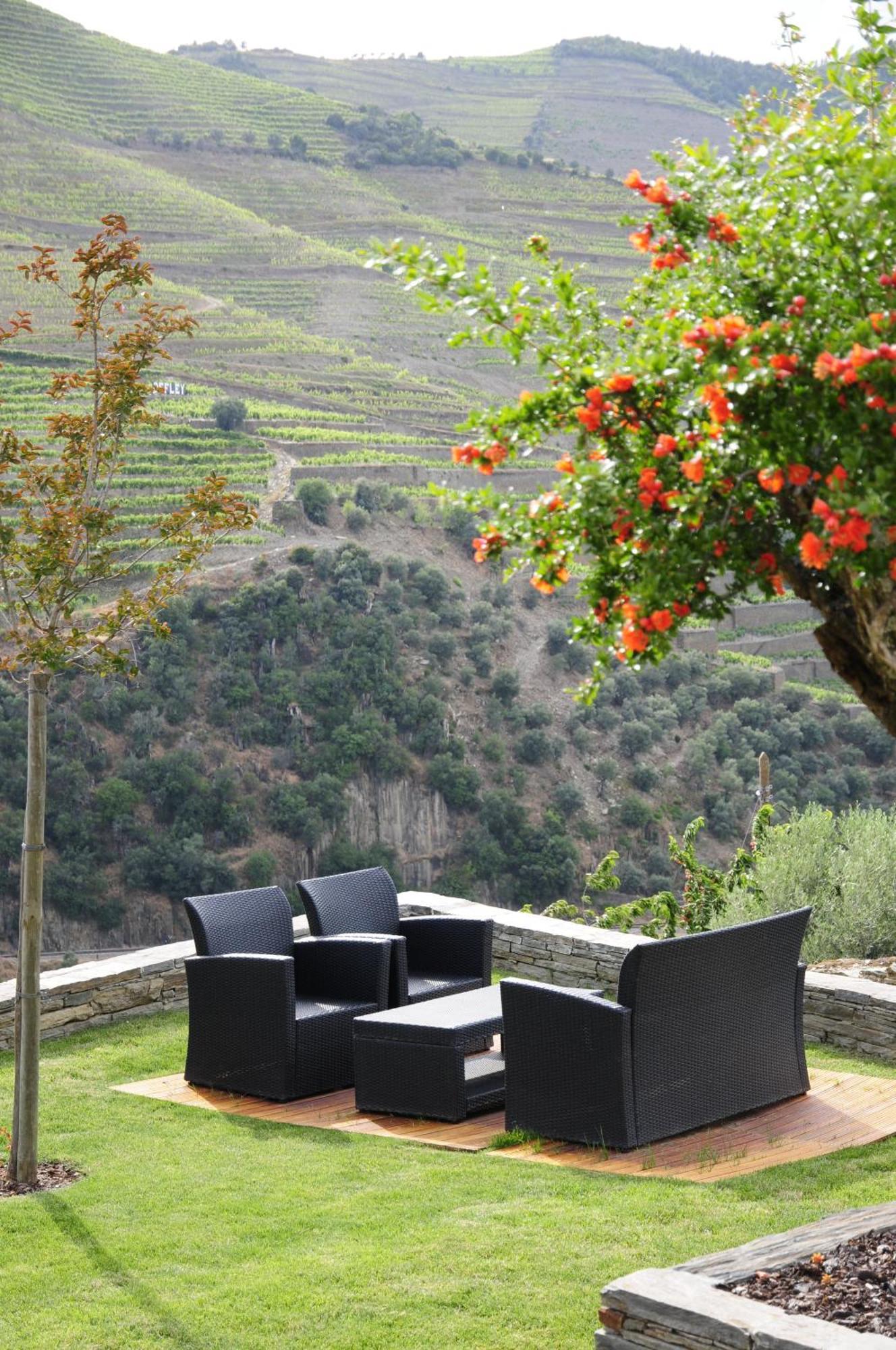 Hotel Rural Quinta Do Pego Tabuaço Zewnętrze zdjęcie